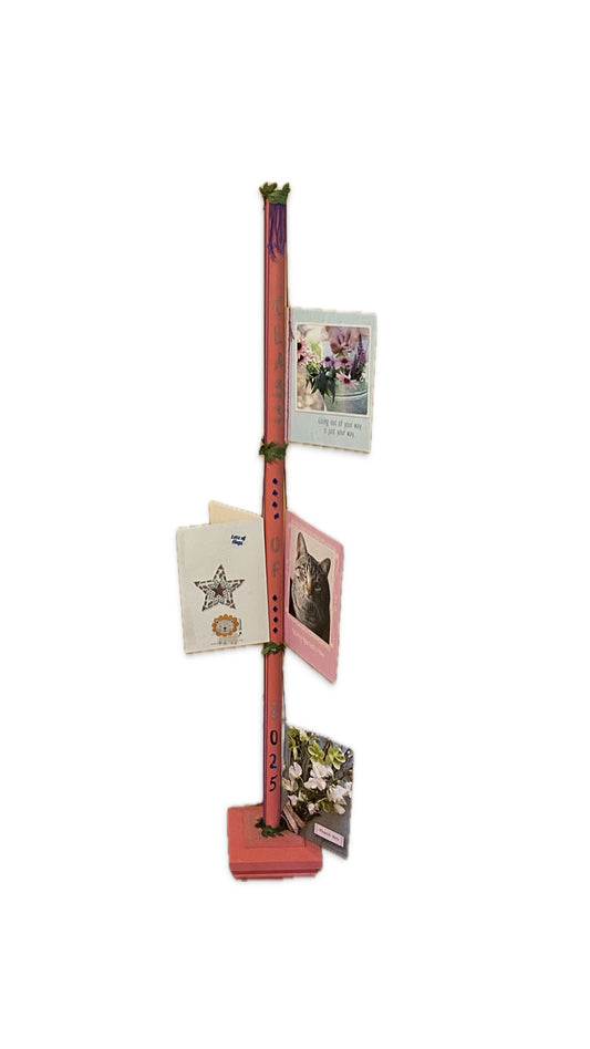 CELEBRATION DISPLAY